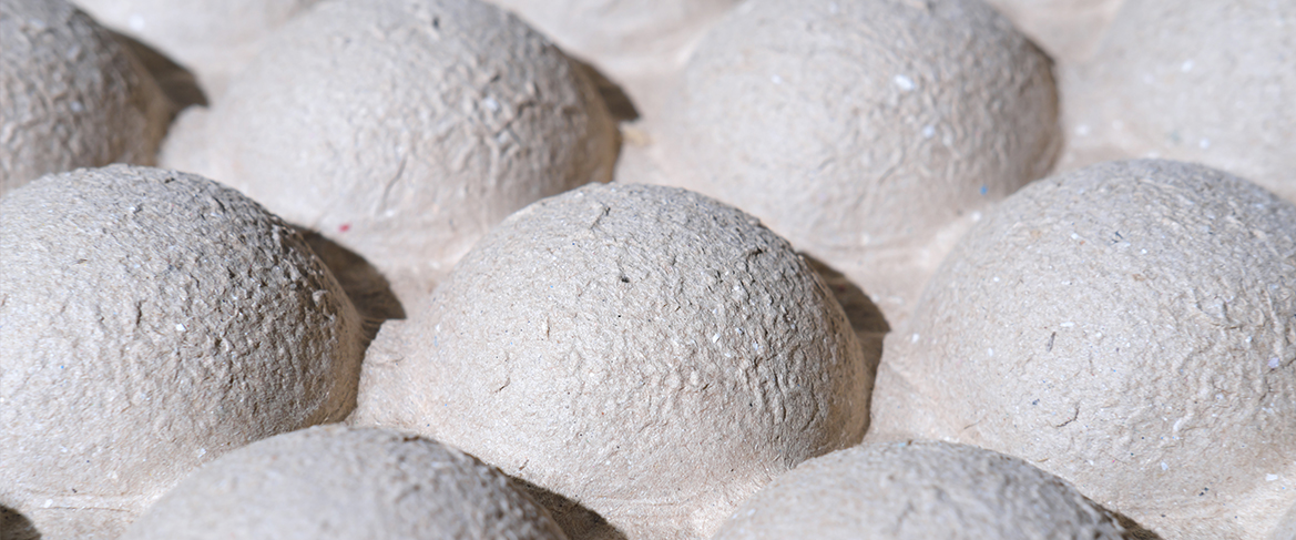 Le mycélium, l’alternative au plastique
C’est en regardant des champignons pousser sur des copeaux de bois qu'Eben Bayer et Gavin Mcintyre ont trouvé une méthode pour remplacer les plastiques expansés fabriqués à base de pétrole.
Le mycélium, qu’est-ce que c’est ?
C’est un réseau filament permettant au champignon de se rependre, ce qui lui permet de coloniser les sols (ou moulé dans une forme désirée) en 5 à 7 jours.
Afin de s’assurer que le champignon ne contient aucun allergène et aucune bactérie, la matière est déshydratée et cuite pour ensuite être utilisée sainement. 
Le résultat ? Ce biomatériau est décrit comme solide, comparable à la résistance du plastique et dégradable très rapidement (entre 45 et 180 jours).
La concrétisation du projet
Alors qu’aujourd’hui 40 % du plastique est utilisé pour des emballages à usage unique, Eben Bayer et Gavin Mcintyre ont créé une alternative d’emballage eco-friendly à base de mycélium, appelée EcoCradle.
C’est en 2006, aux USA, que les deux entrepreneurs ont déposé le brevet pour ce nouveau type d’emballage, puis ils créent leur société : Ecovative Design.
Ecovatice design est aujourd’hui une entreprise internationale. Elle fournit des emballages à base de mycélium à des entreprises qui tend à des valeurs plus éco-responsables telles qu'IKEA ou Dell.
La société propose désormais une gamme de produits plus élargie comportant l’isolation de vêtements ou encore la mousse résistante pour chaussures.